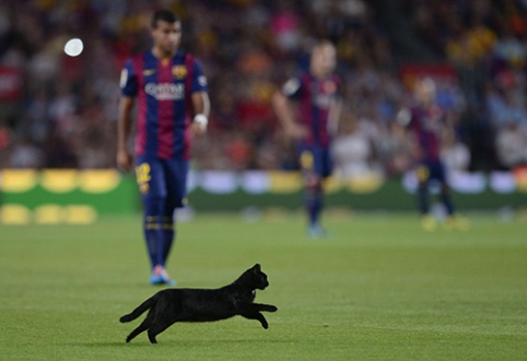 "Barcelona" 2014-2015 m. Black Cat's Season. Part 2