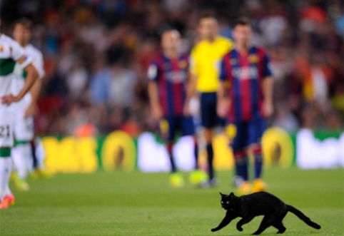 "Barcelona" 2014-2015 Black Cat's Season. Part 1