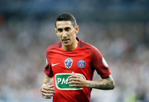 Another Tax Victim: A. Di Maria Sentenced to One Year in Prison