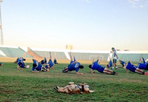 POP: The dog became an assistant coach at a Paraguayan club