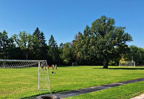 A Lithuanian Encourages Visiting a Special Soccer Field in Estonia