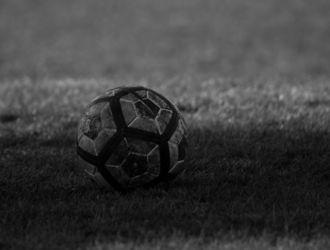 C. Eriksen returned to the ranks of the Danish national team with a goal against the Netherlands