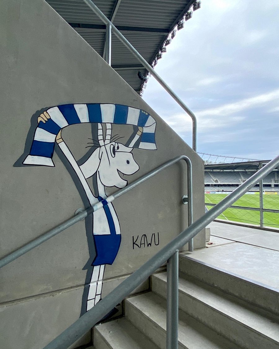 Residents of Kaunas decide what to do with the goat painted by Poles