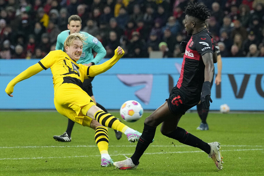 Bayer" and BVB share a point